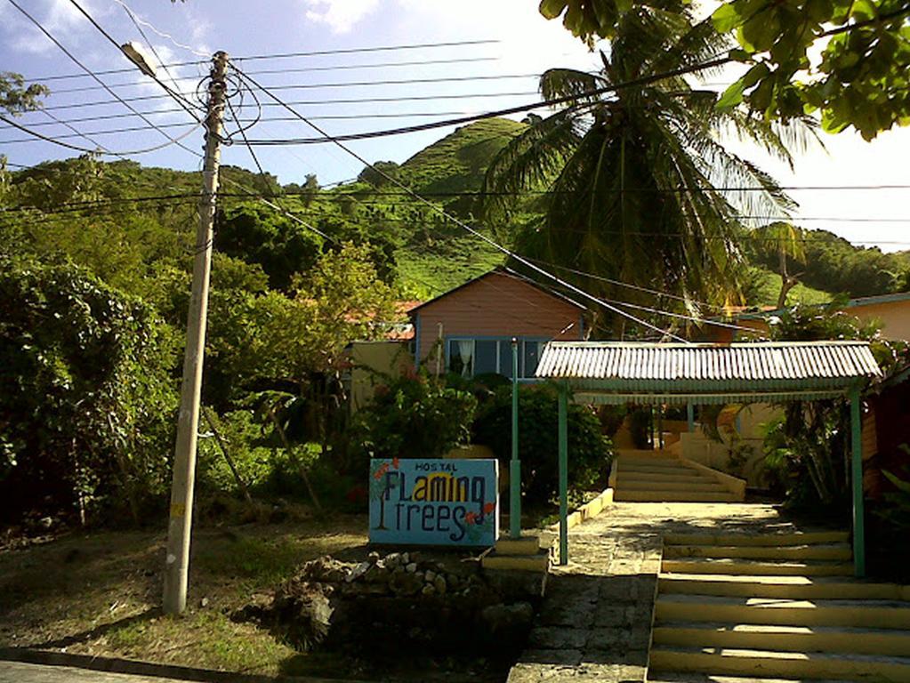 Hotel Flemming Tree Providencia Island Экстерьер фото