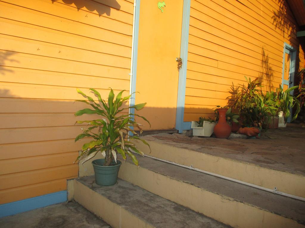 Hotel Flemming Tree Providencia Island Экстерьер фото