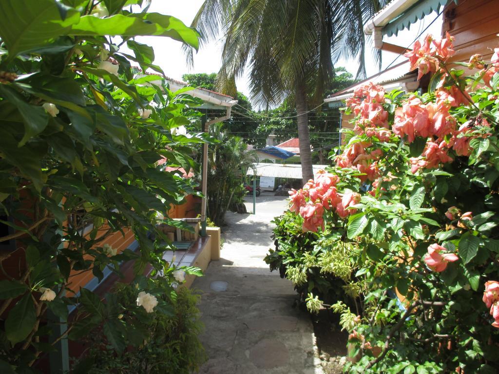 Hotel Flemming Tree Providencia Island Экстерьер фото