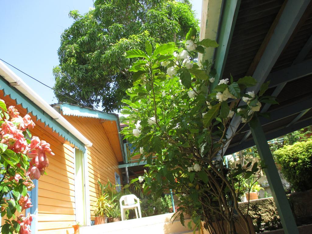 Hotel Flemming Tree Providencia Island Экстерьер фото