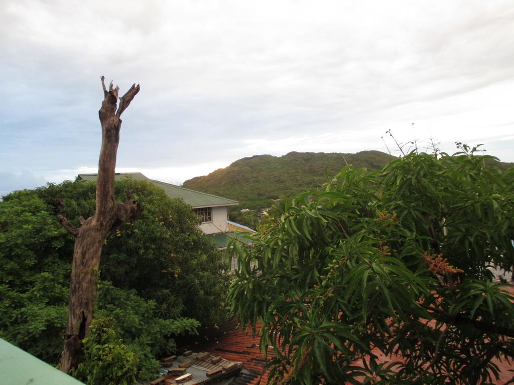 Hotel Flemming Tree Providencia Island Экстерьер фото