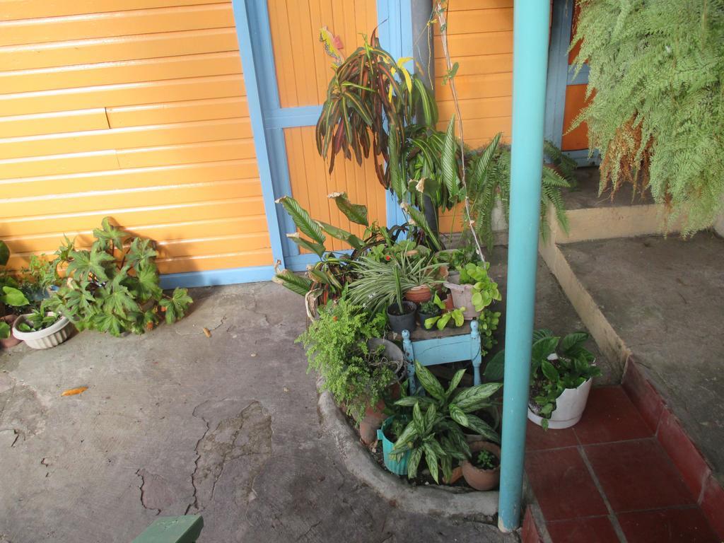 Hotel Flemming Tree Providencia Island Экстерьер фото