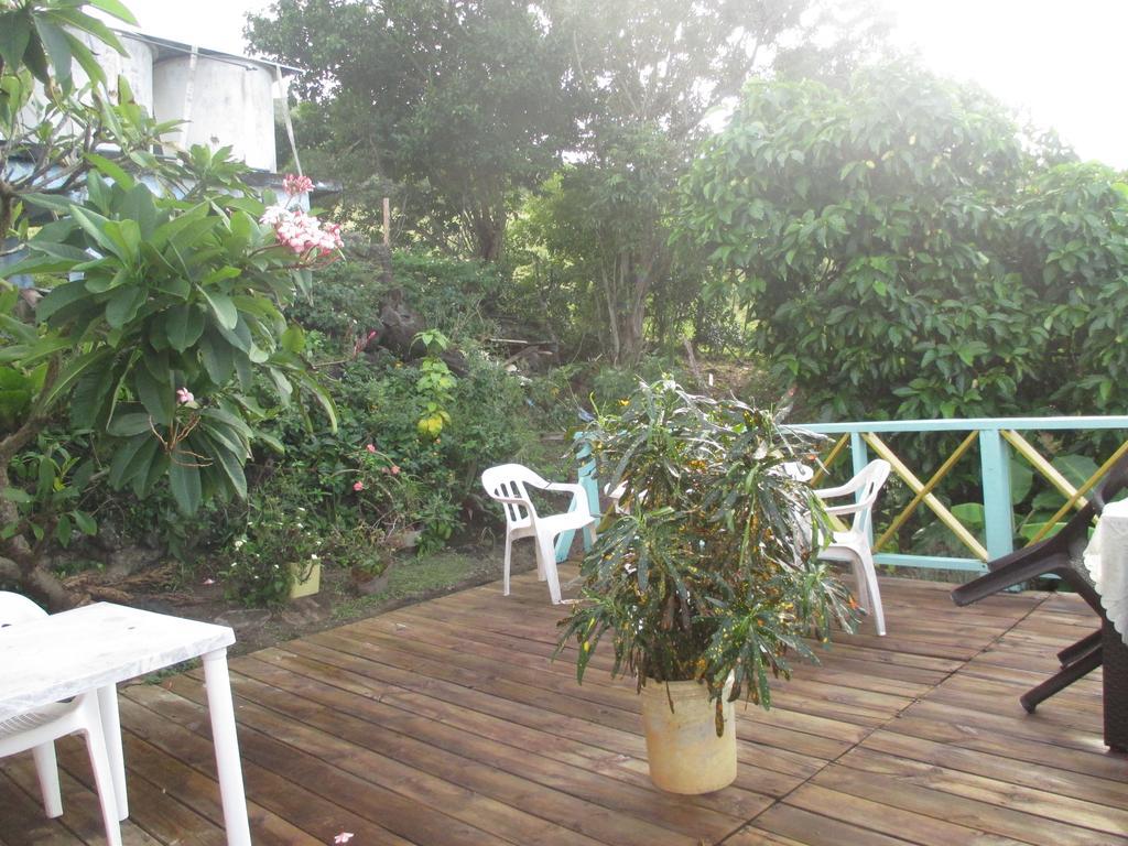 Hotel Flemming Tree Providencia Island Экстерьер фото