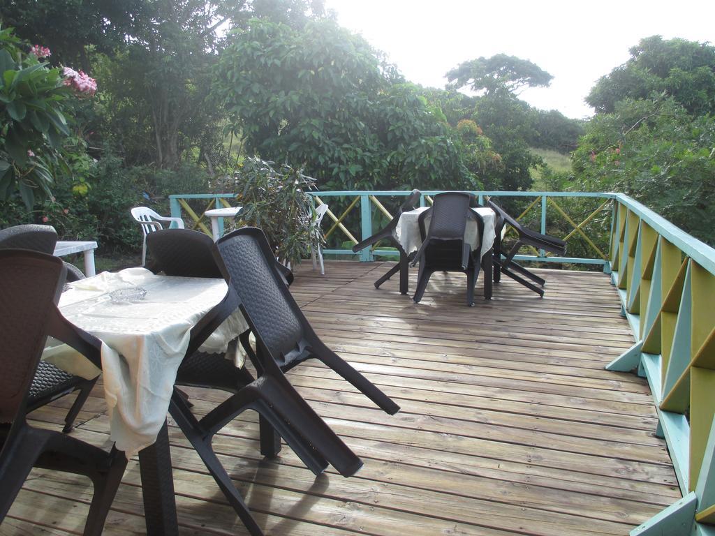 Hotel Flemming Tree Providencia Island Экстерьер фото