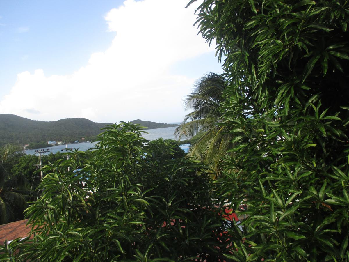 Hotel Flemming Tree Providencia Island Экстерьер фото